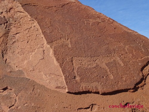 Petroglifos Twyfelfontein