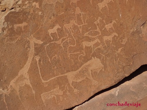 petroglifo Twyfelfontein