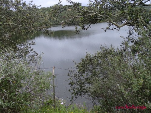 Lago en El Esparragal