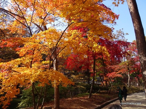 Jardín secreto, palacio de Changdeokgung