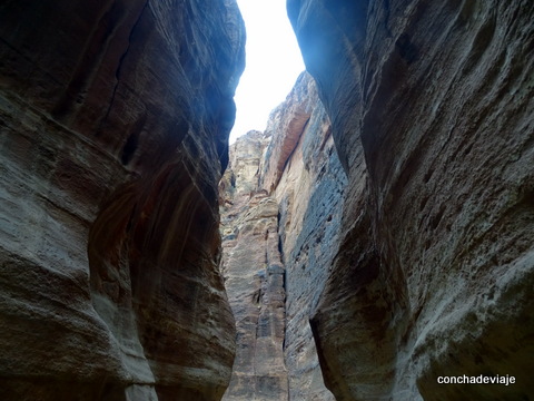 Que ver y hacer en Petra, la ciudad escondida del desierto