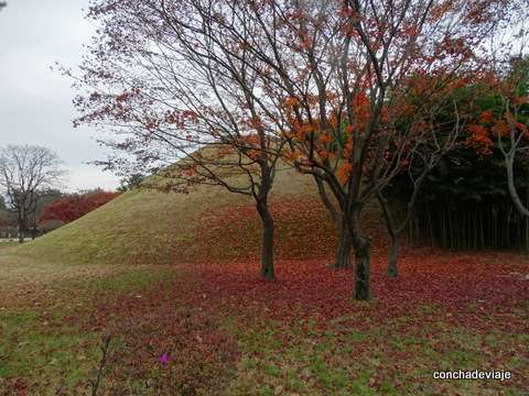 Que ver en Gyeongju, la ciudad conocida como ley museo al aire libre